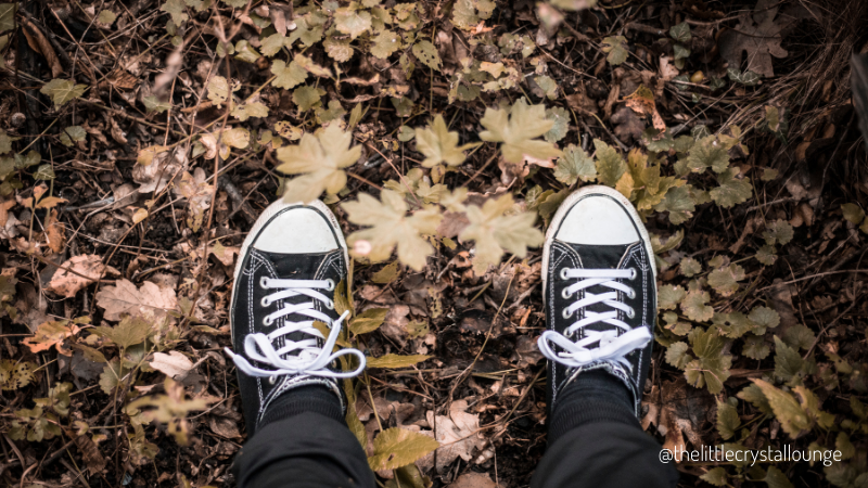 Image shows a bed of brown autumn leaves, with two feet standing on them